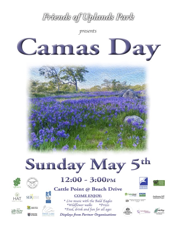 Camas Day May 5th